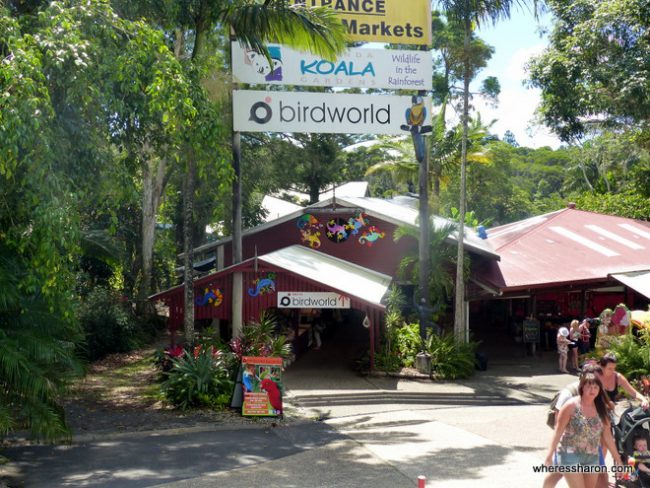 Top 22 Things to do in Cairns with Kids - Family Travel Blog - Travel ...